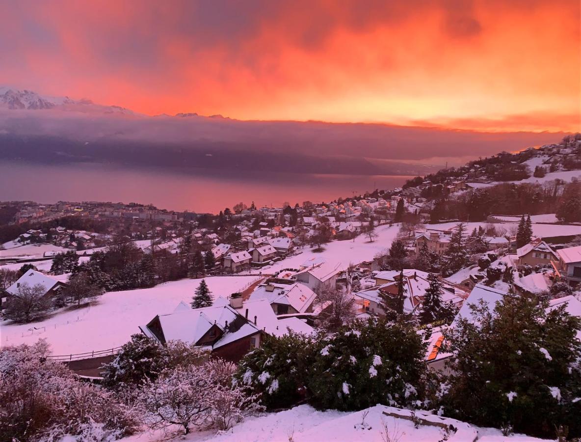 Appartement Moderne Avec Vue Panoramique A Jongny Proche De Montreux Exterior foto
