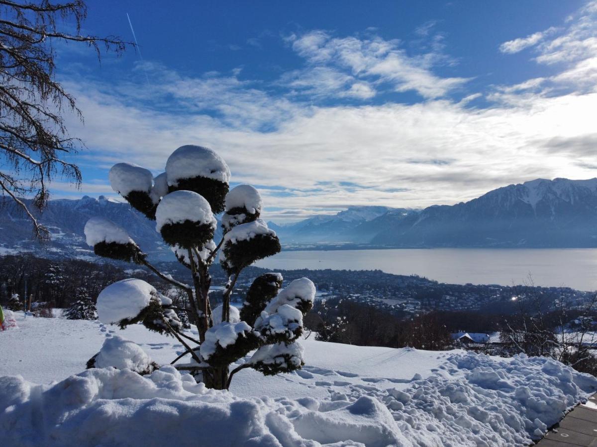 Appartement Moderne Avec Vue Panoramique A Jongny Proche De Montreux Exterior foto